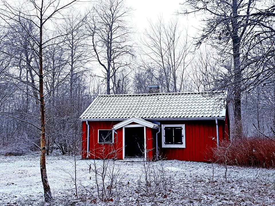 Winter in Småland, a red house in the forest during winter