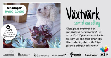 Plantusiast? Se hit! Bild med foto på en liten hund jämte suckulenter