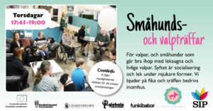 Småhunds- och valpträff