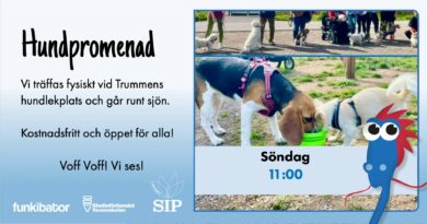 Hundpromenader! Hund som dricker vatten