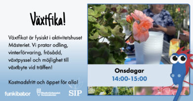 VÄXTFIKA En vacker pelargon står på bordet